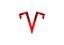 Torch Logo